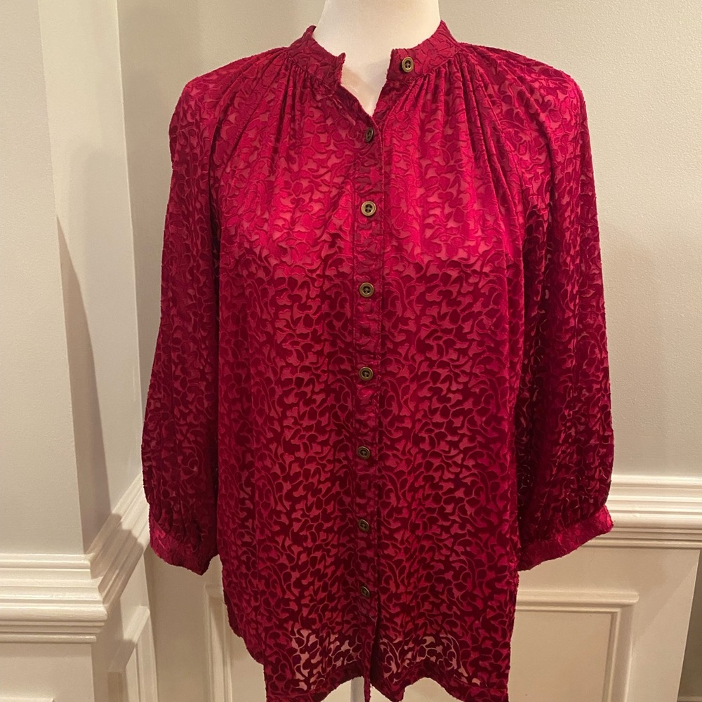 Anthropologie Susanna Burnout Velvet Blouse, Size Small